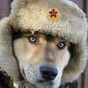 Опцион граница